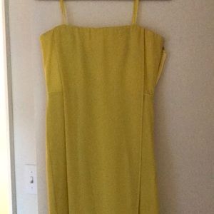 BCBG floor length dress